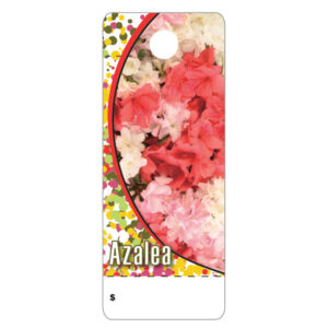 Azalea CT0002