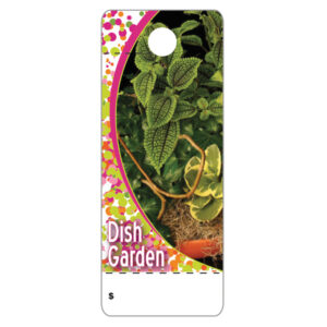 Dish Garden CT0010