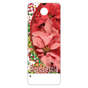 Poinsettia CT0025