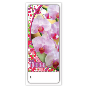 Orchid CT0024