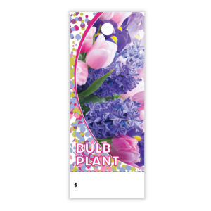 Bulb Plant CT0005